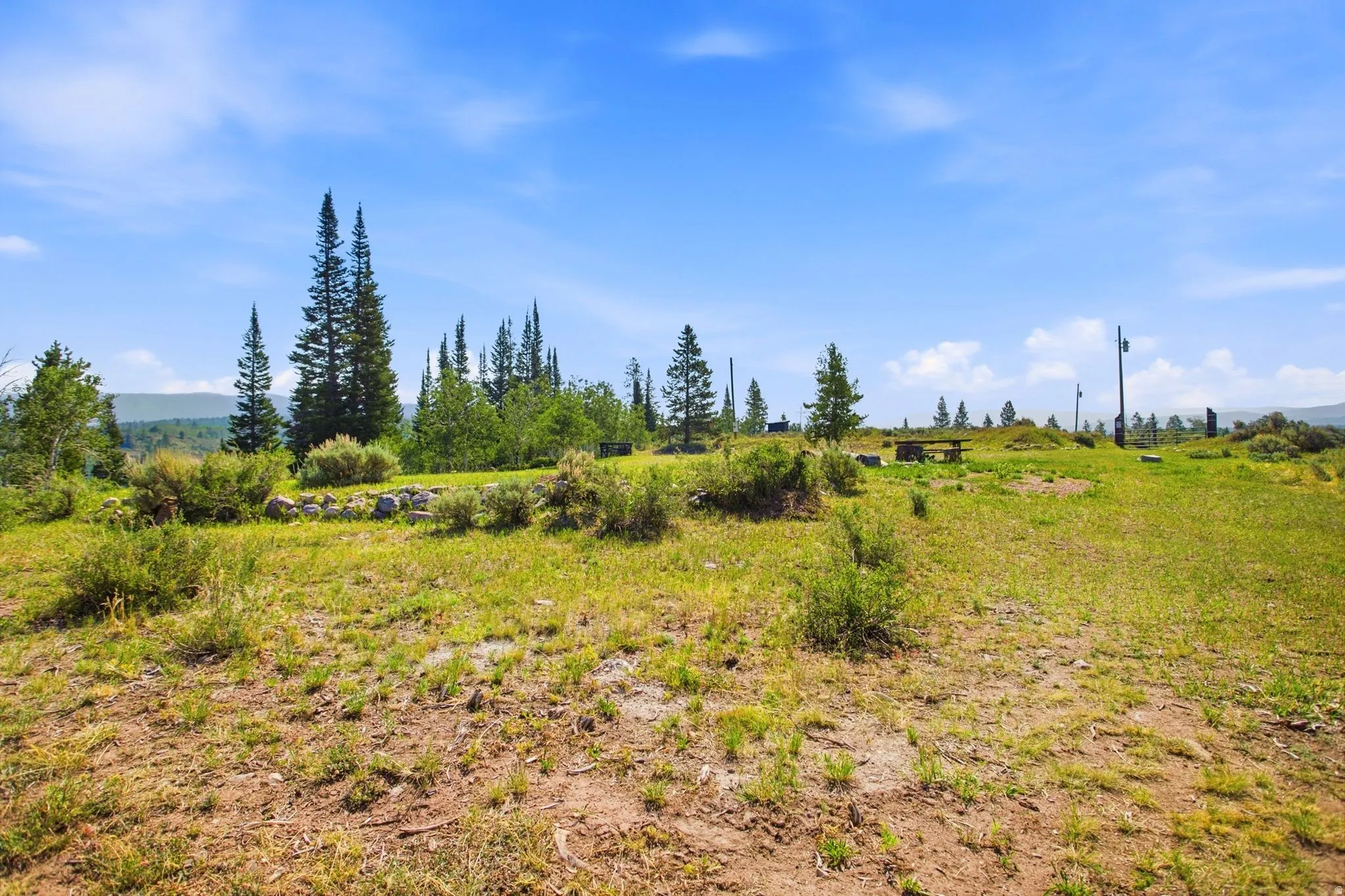 Expansive lot featuring mature evergreen trees and a distant mountainous horizon under a clear sky