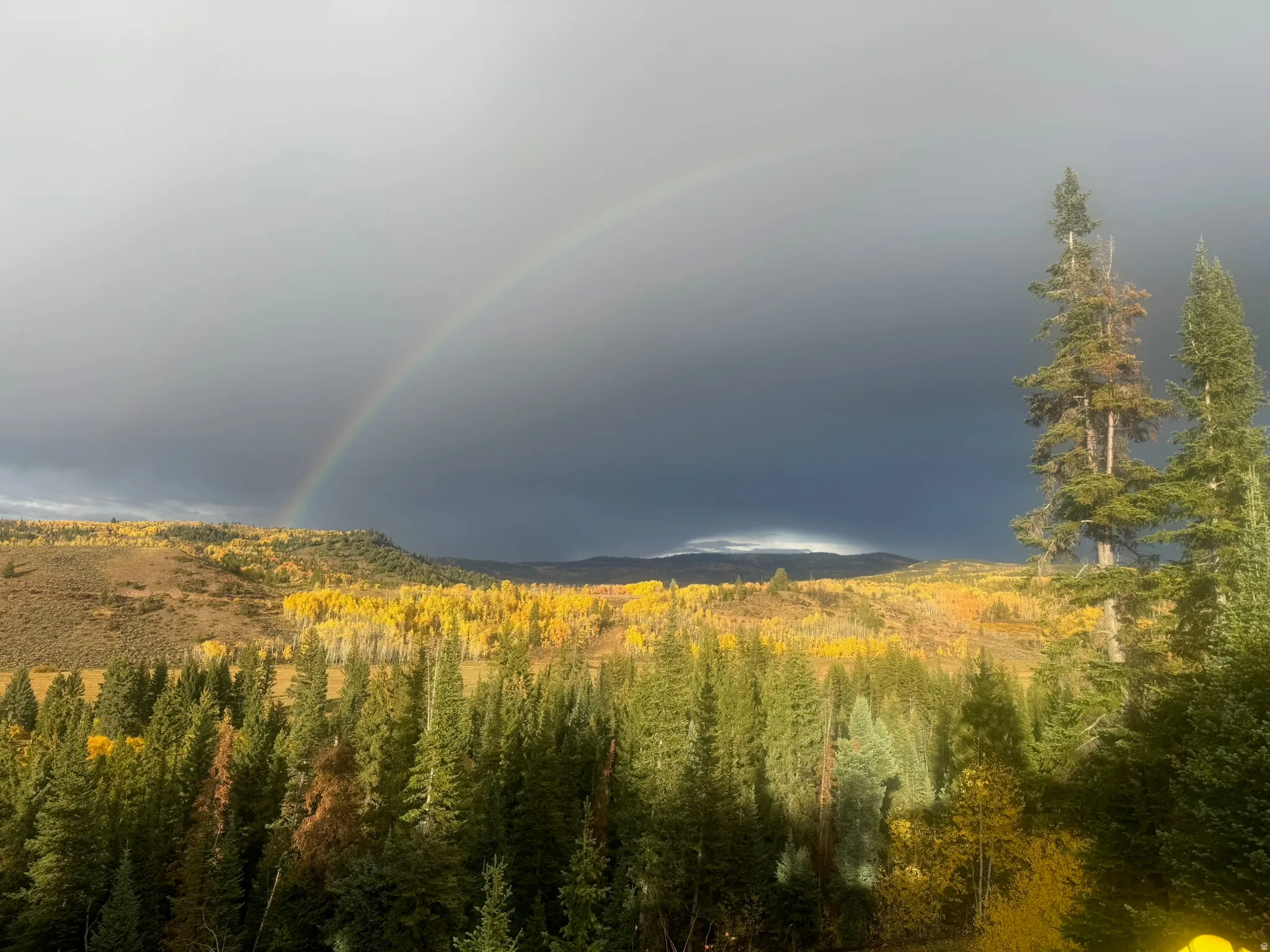 Expansive natural landscape featuring evergreen forests and deciduous trees with vibrant autumn foliage
