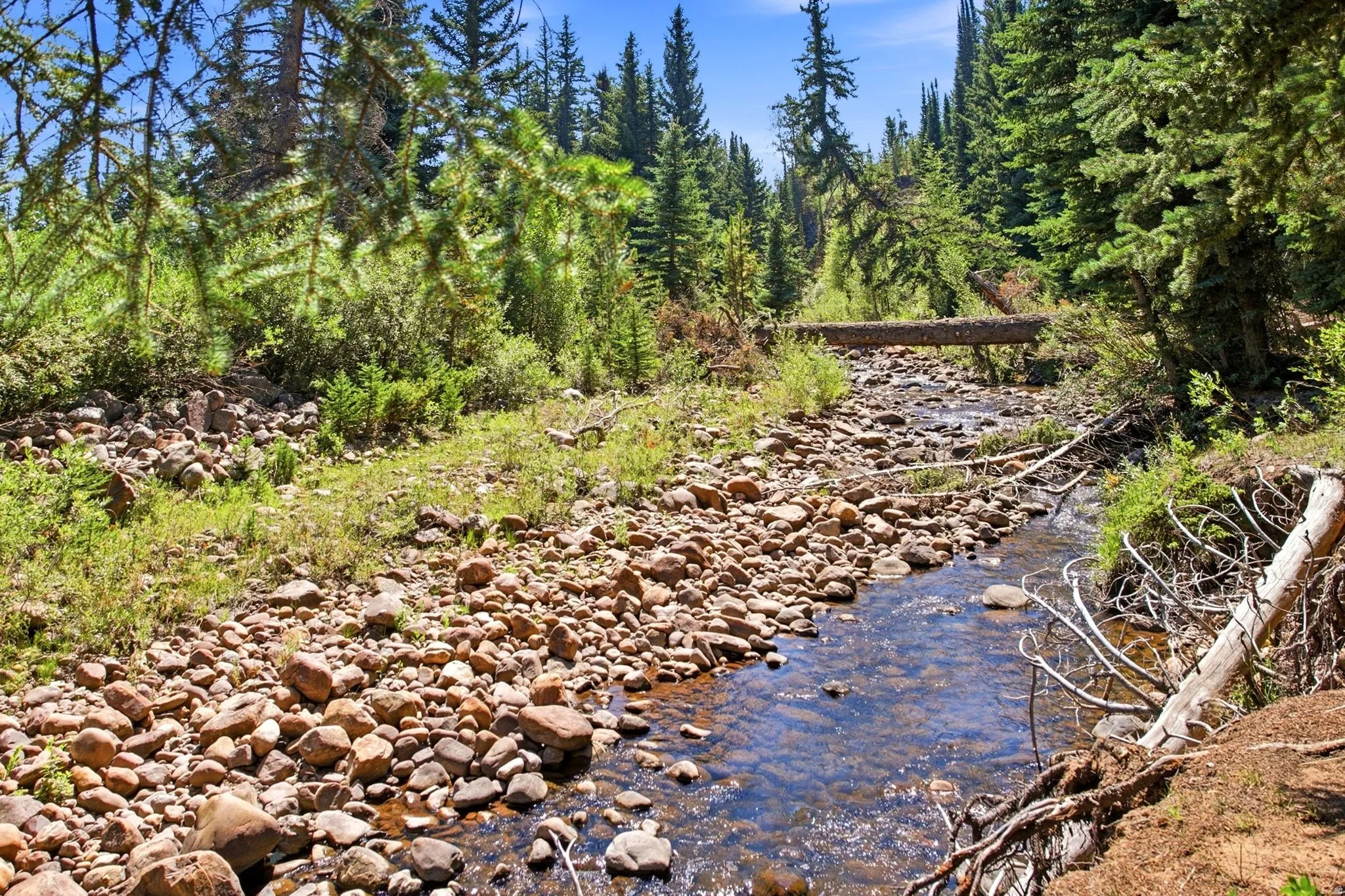 Rocky streambed with clear water, surrounded by dense evergreen trees and natural foliage