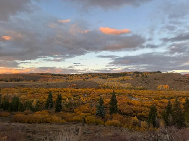Expansive natural landscape with varied foliage, including evergreen trees and broadleaf shrubs