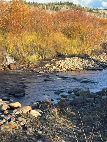 Rocky stream featuring clear water, surrounding autumnal foliage, and distant evergreen trees
