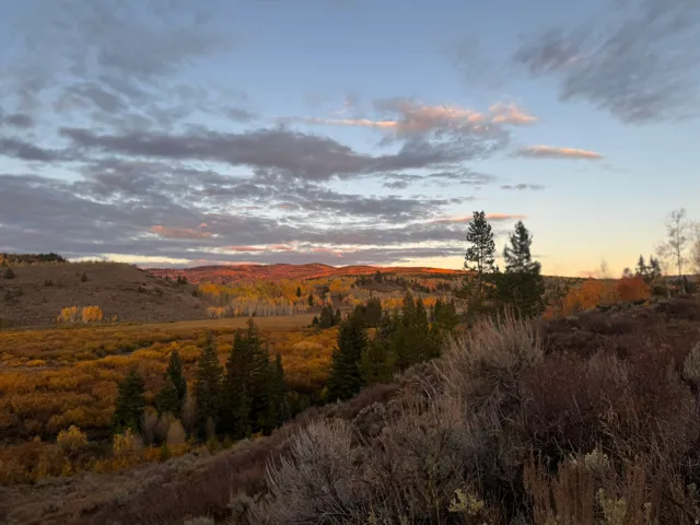 Expansive natural landscape featuring rolling hills and diverse foliage