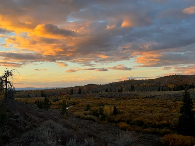 Expansive natural landscape with rolling hills and abundant foliage