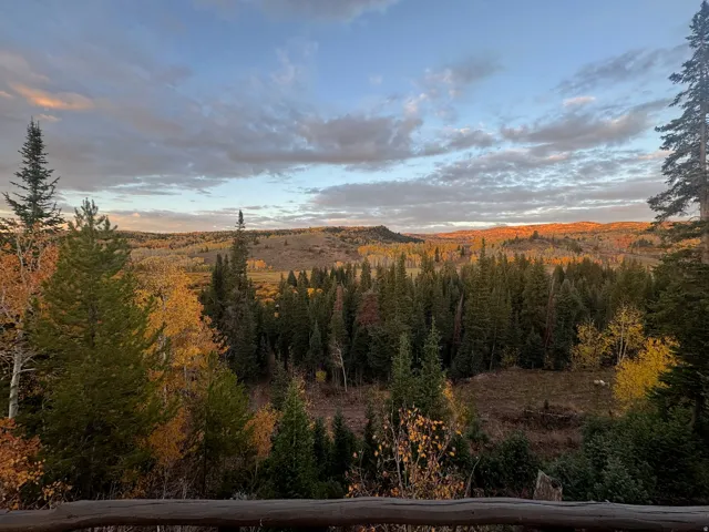 Expansive forested landscape featuring evergreen trees and deciduous trees with autumn foliage