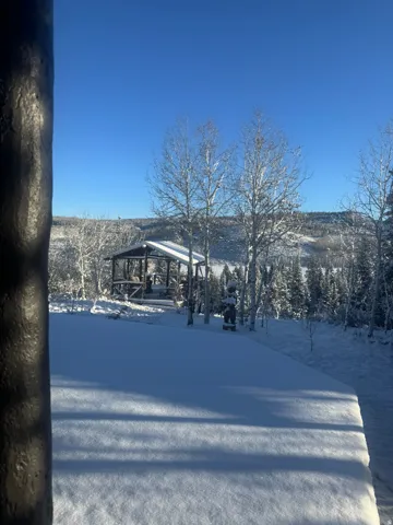 Expansive outdoor space featuring a covered gazebo, mature trees, and a distant mountain landscape