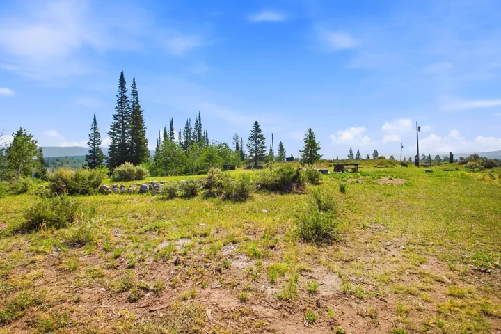 Expansive lot featuring mature evergreen trees and a distant mountainous horizon under a clear sky