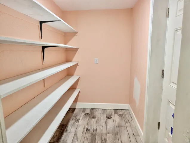Pantry with backyard access door