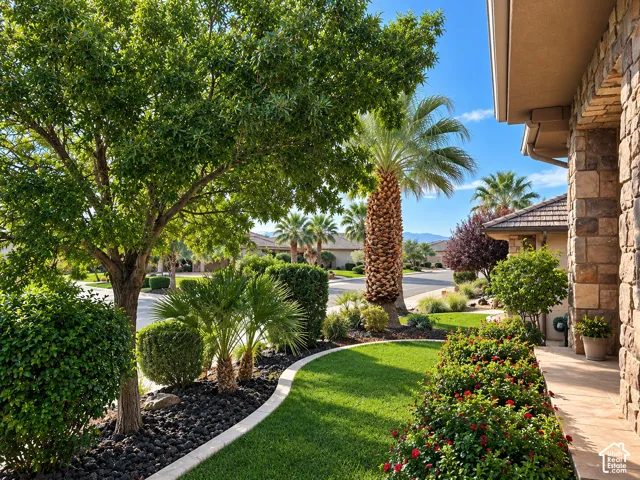 Front yard landscape