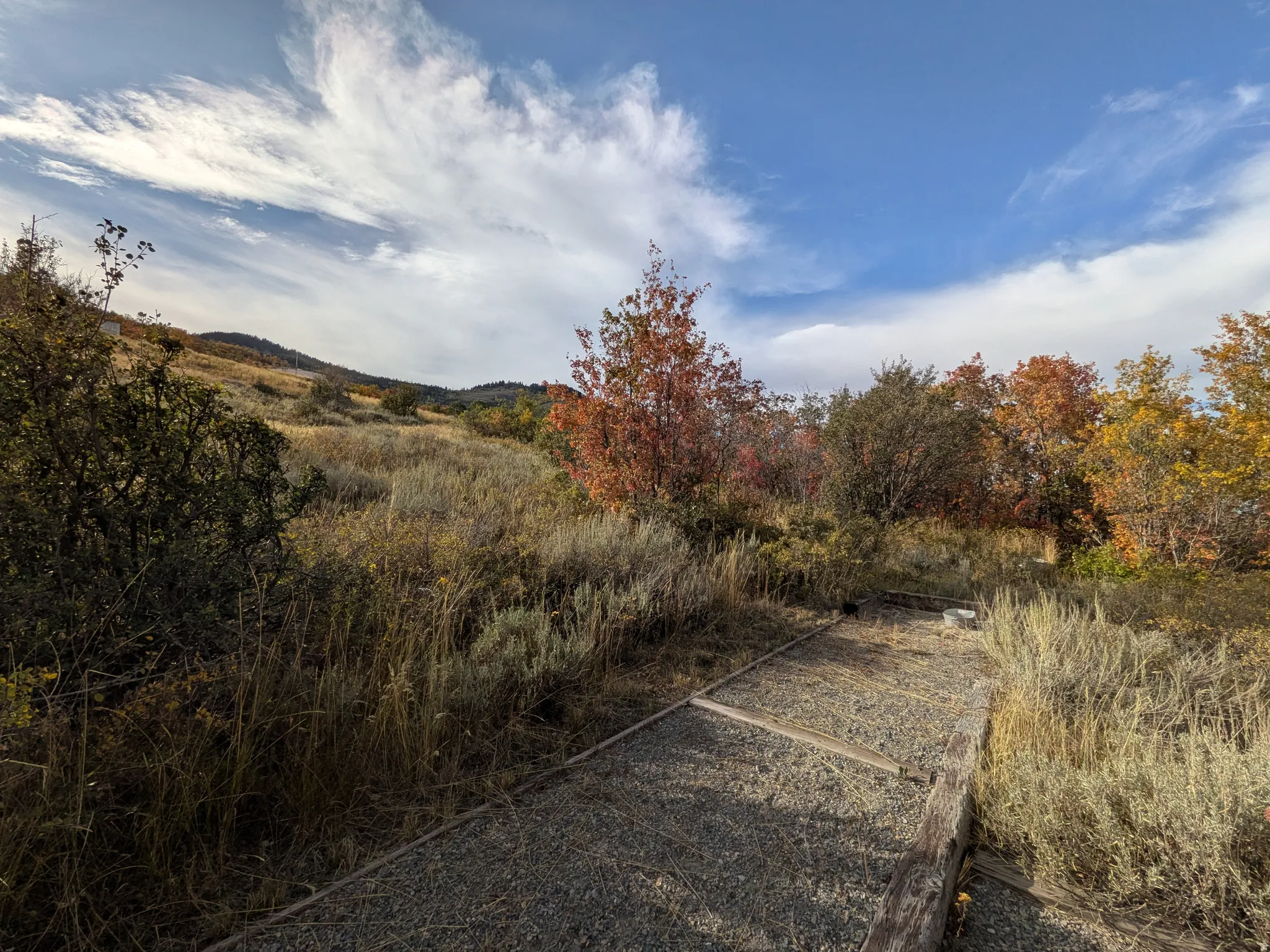 Natural landscape featuring expansive hillside terrain, diverse foliage, and a horse shoe pit,