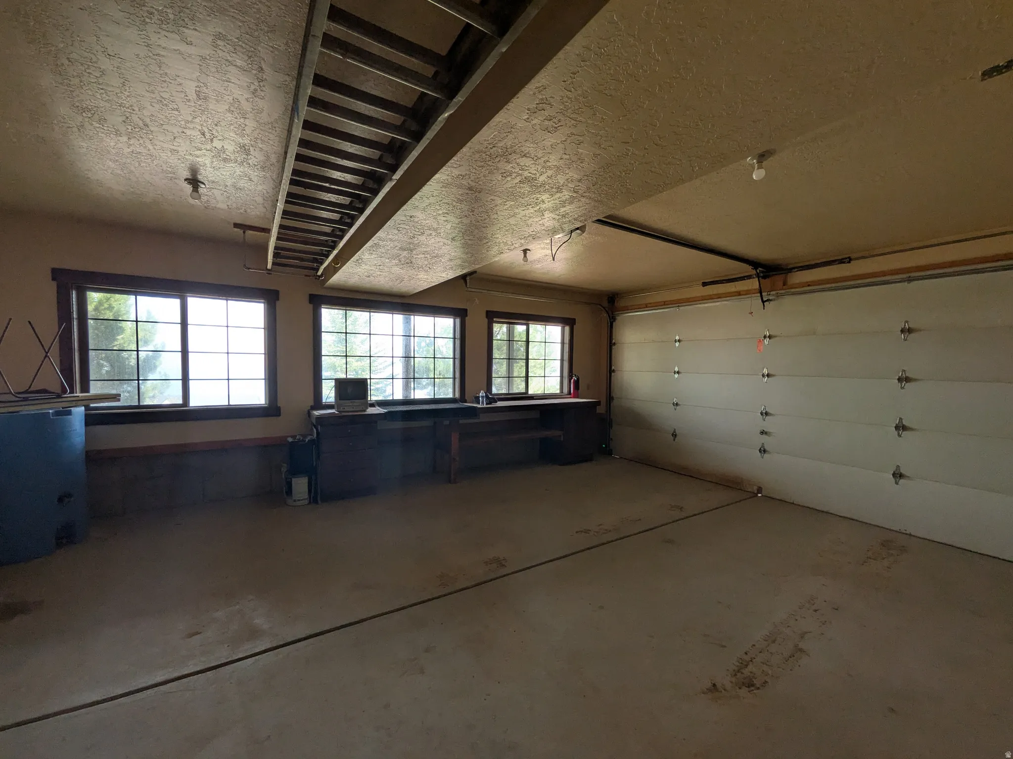Spacious garage featuring a concrete floor, multiple windows, built-in shelving, and a sectional garage door