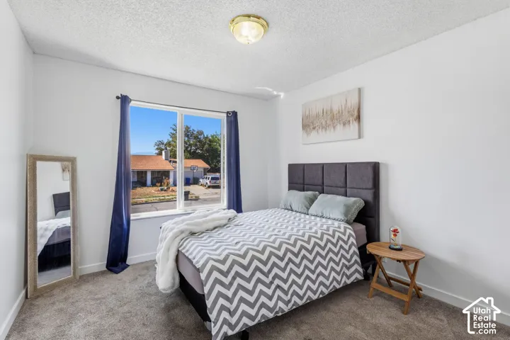 Carpeted flooring, white painted walls, ceiling-mounted light fixture, and a window with a white frame