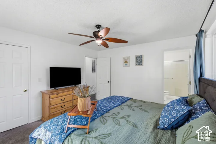 White painted walls with a ceiling fan light fixture, two paneled doors, and gray carpeting