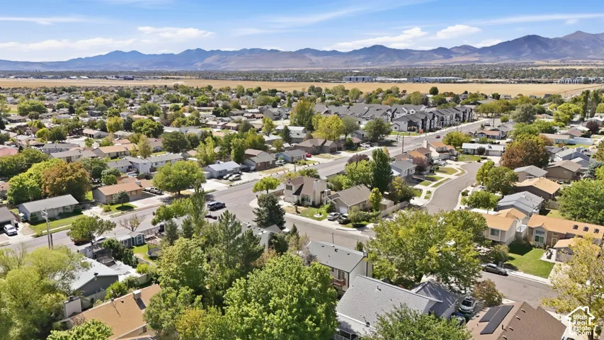 Residential neighborhood featuring mature trees, paved streets, and distant mountain scenery