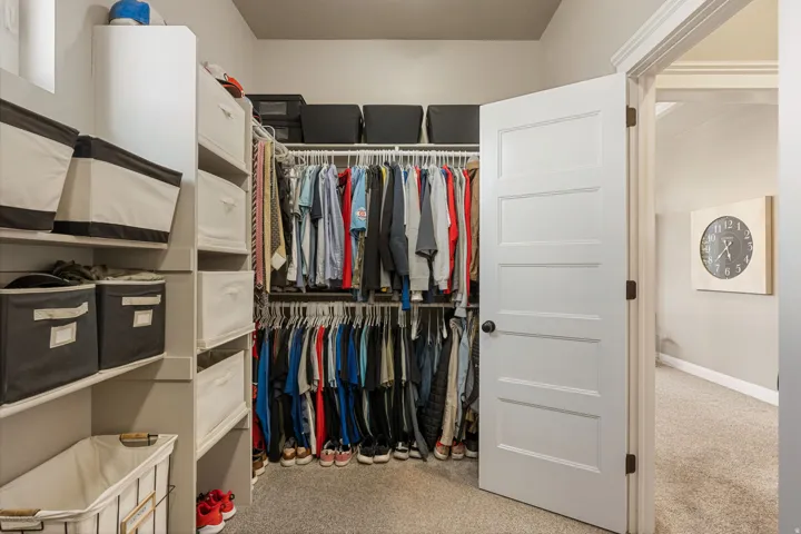 Walk-in closet featuring carpeted flooring, built-in shelving, and multiple hanging rods