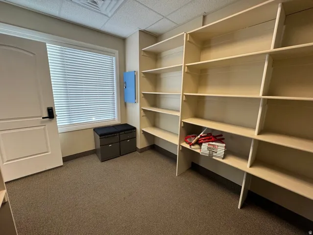 Built-in shelving, window with horizontal blinds, neutral wall paint, and textured carpet flooring