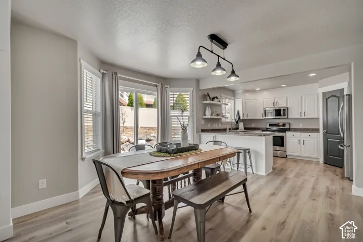 338 W Rye Dr, Saratoga Springs, Utah 84045