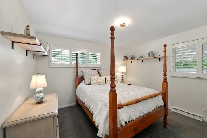 Built-in shelving, plush carpeting, ceiling-mounted light fixture, and windows with plantation shutters
