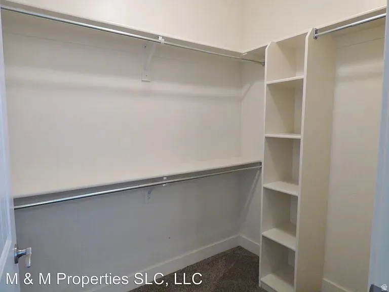 Built-in shelving, hanging rods, and carpeting