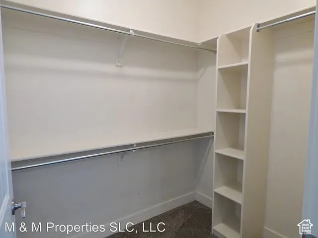 Built-in shelving, hanging rods, and carpeting