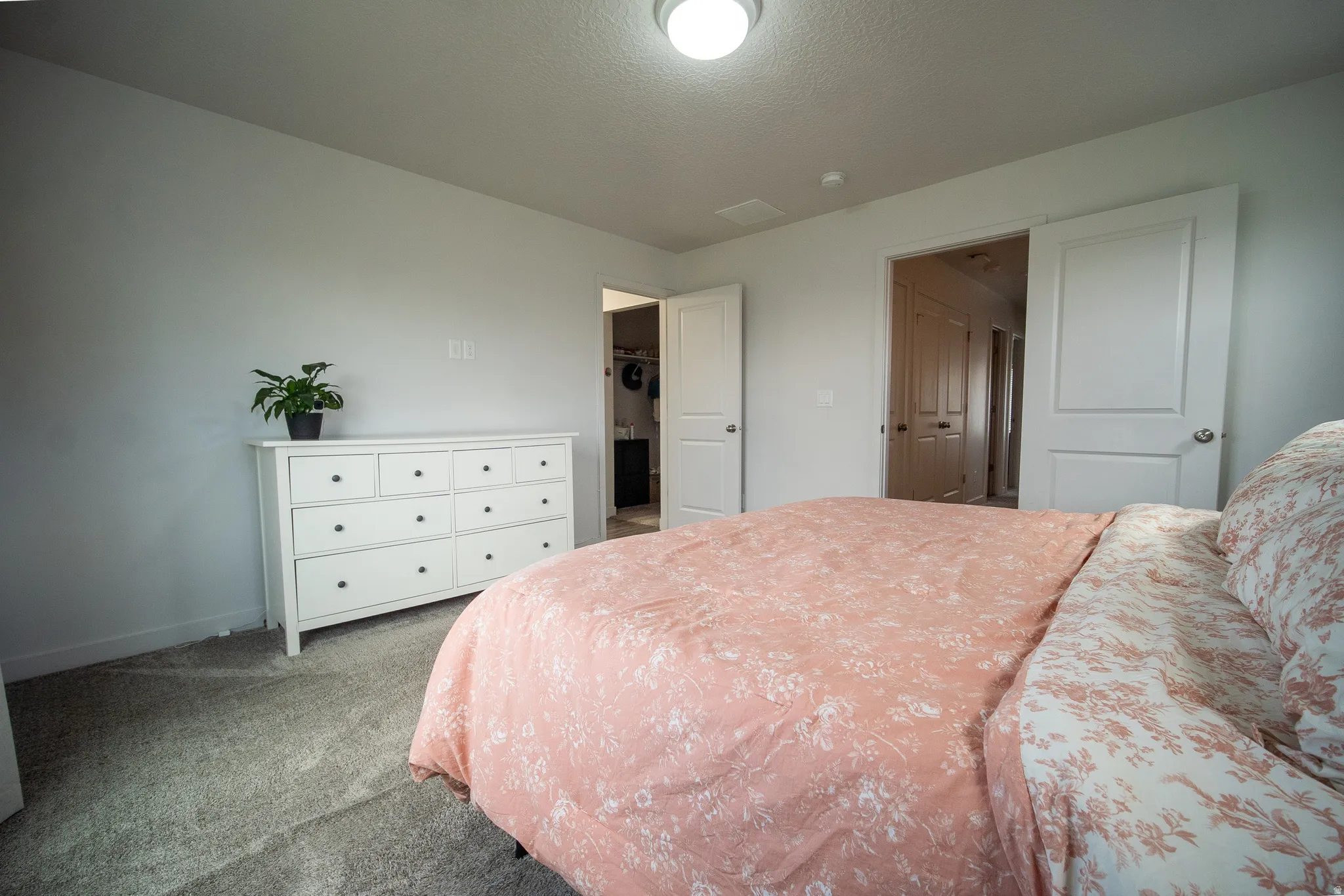 Generously sized master bedroom offering abundant natural light, Wall-to-wall carpeting with light-toned walls and ceiling.