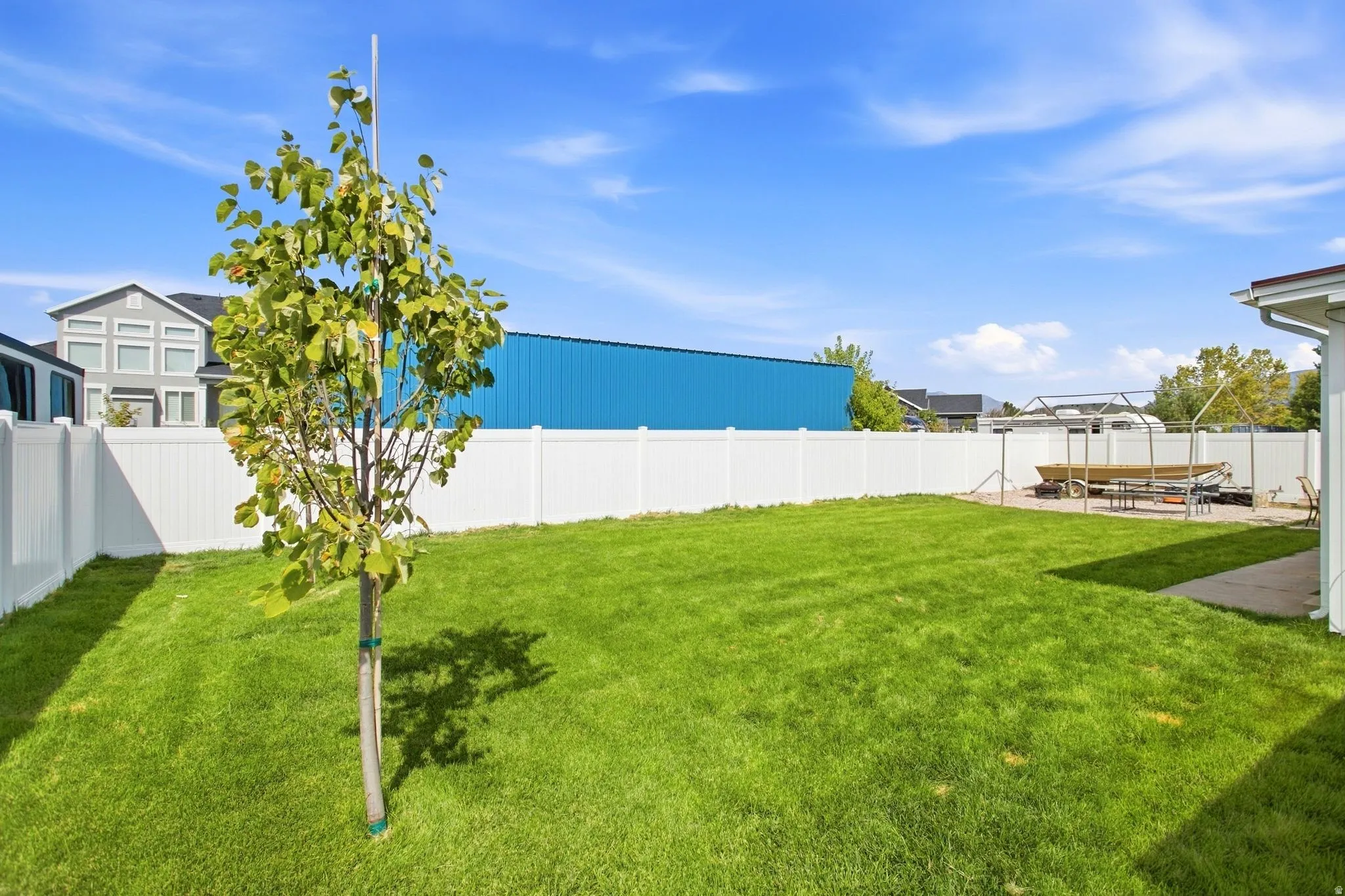 Expansive green lawn with a young tree, bordered by a white vinyl fence