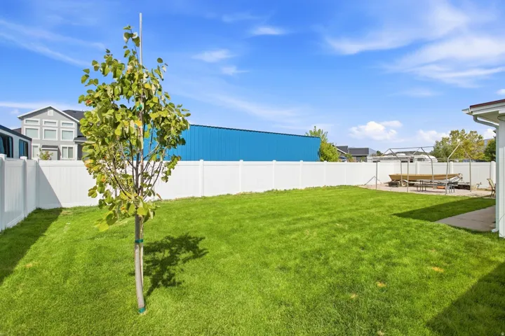 Expansive green lawn with a young tree, bordered by a white vinyl fence