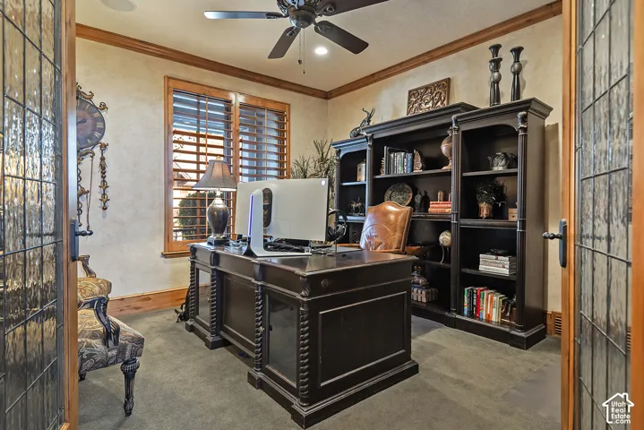 Leaded glass entry doors, ceiling fan with integrated lighting, wood-framed windows, plantation shutters, and built-in shelving
