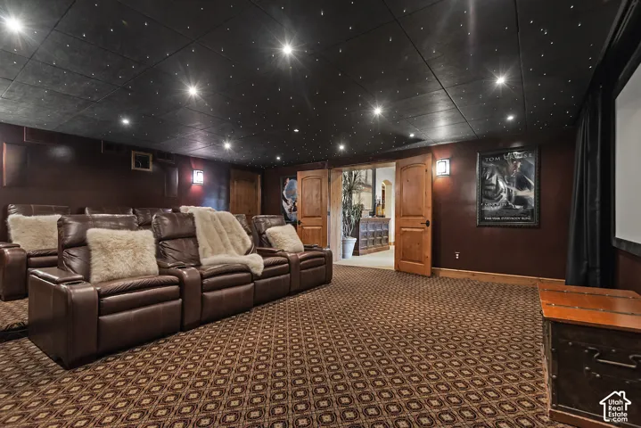 Patterned broadloom carpeting, dark paneled walls, a black ceiling with recessed lighting and star-like lights, and solid wood double doors