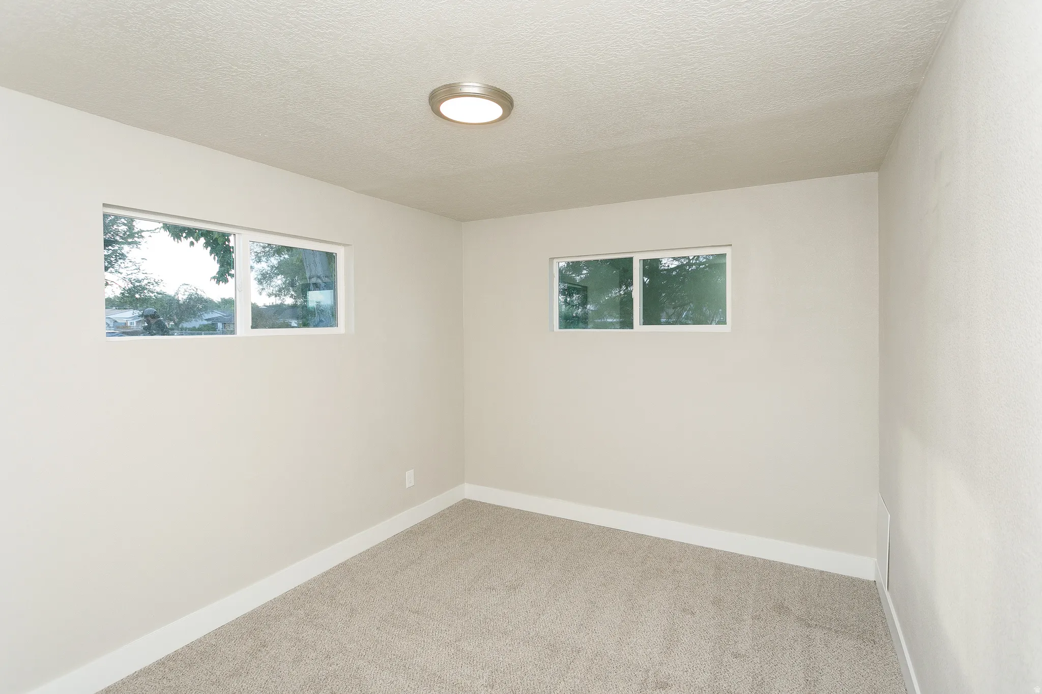 Plush carpet flooring, neutral paint palette, flush-mount ceiling light, and white-framed windows