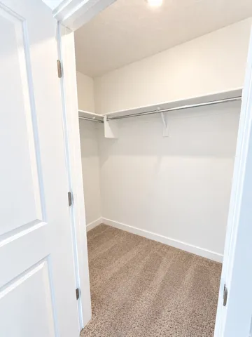 Recessed lighting, wall-mounted shelving, built-in clothing rod, light-toned carpeting, and white trim