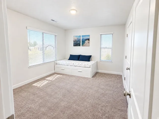 Plush carpet flooring, multiple windows with blinds, white trim, and a ceiling-mounted light fixture