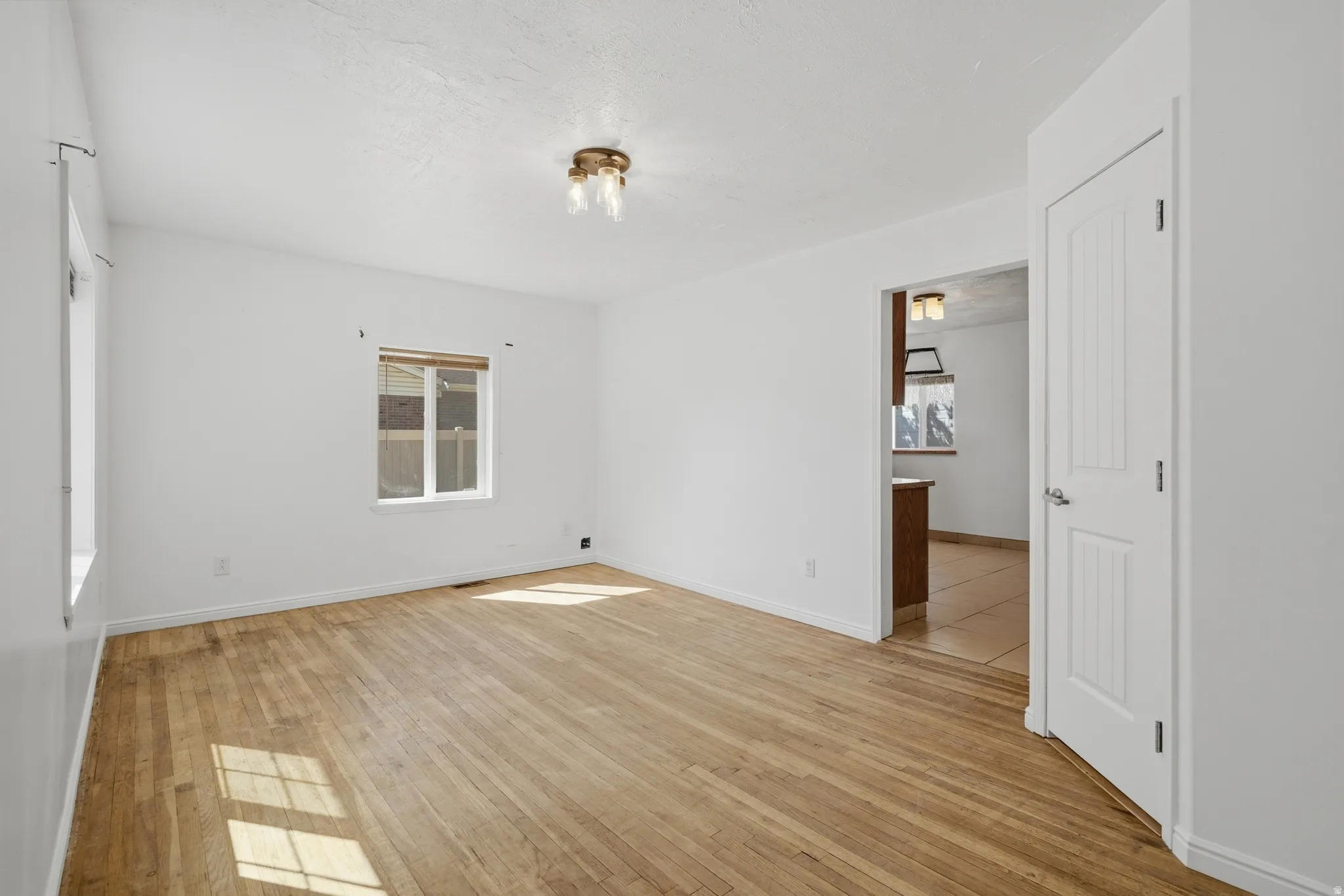 Hardwood flooring, white walls, flush mount ceiling light fixture, white trim, and a paneled interior door