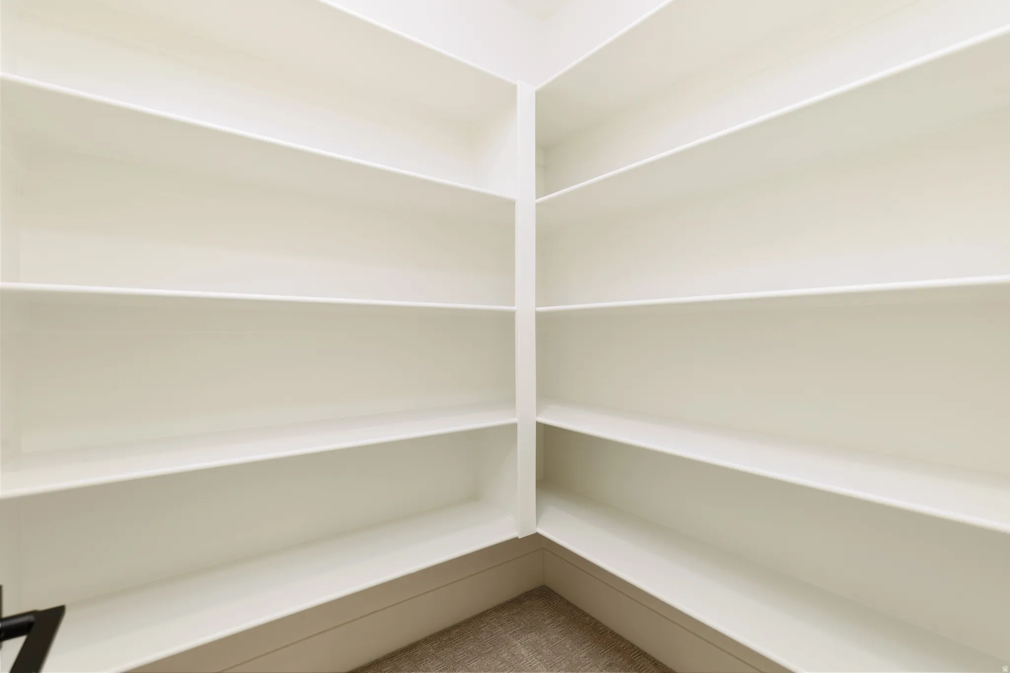 Corner pantry featuring multiple adjustable shelves and carpeted flooring