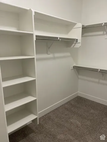 Built-in shelving, white walls, built-in clothing rods, and carpeting