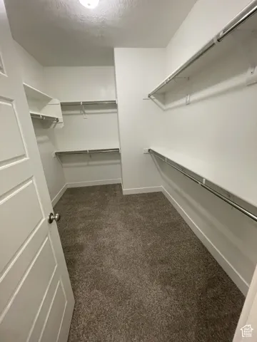 Walk-in closet featuring built-in shelving, chrome hanging rods, and neutral carpet flooring