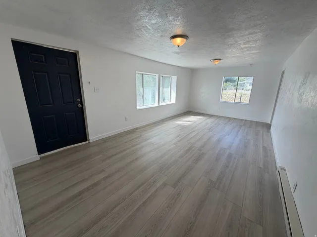 Light wood-finish flooring, white walls, multiple windows, and two ceiling-mounted dome lights