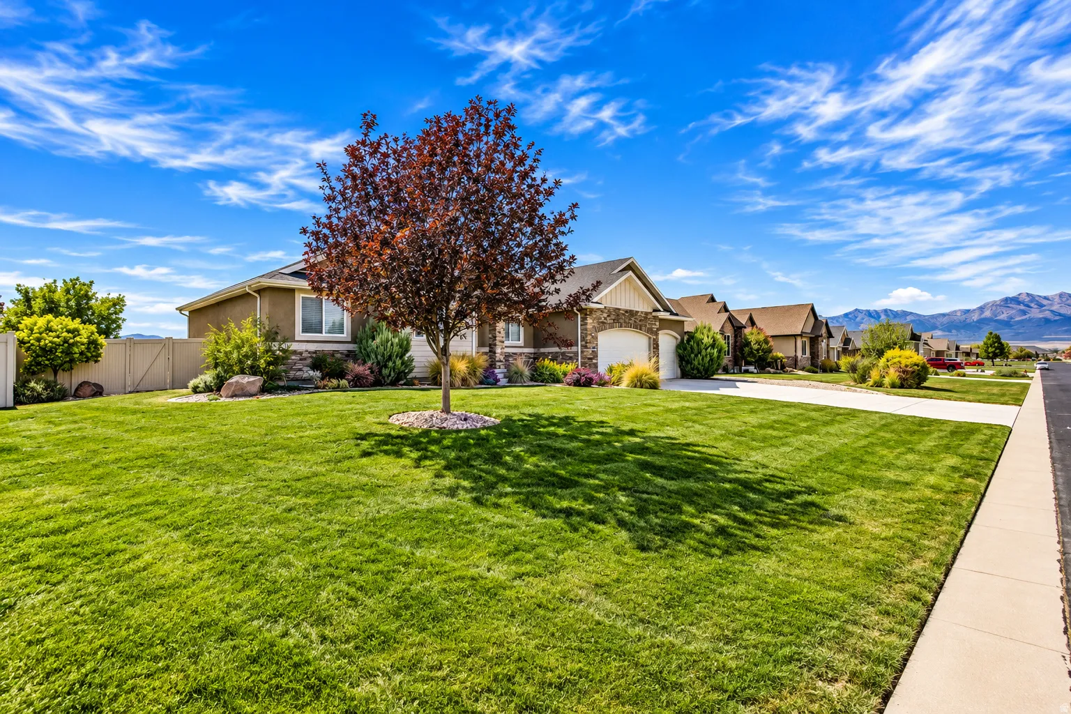 Expansive front lawn, mature deciduous tree, stone accent exterior, paved driveway, and concrete sidewalk