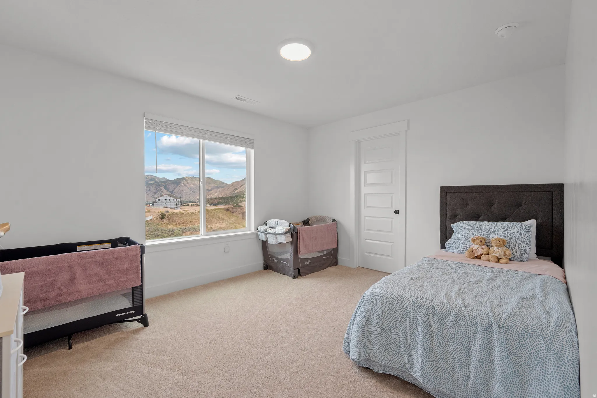 Neutral wall tones with carpet flooring