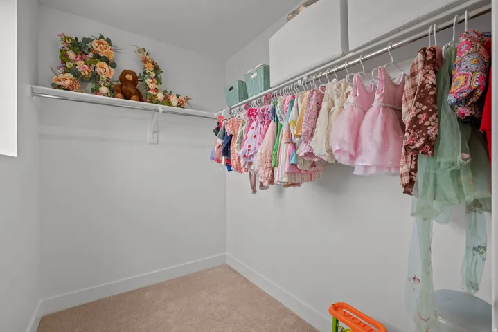 Built-in shelving with hanging rods