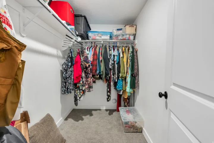 Walk-in closet with built-in shelving, multiple hanging rods, and light-colored carpeting