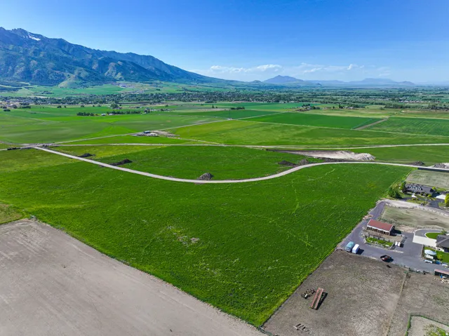 Expansive green fields with a winding unpaved path