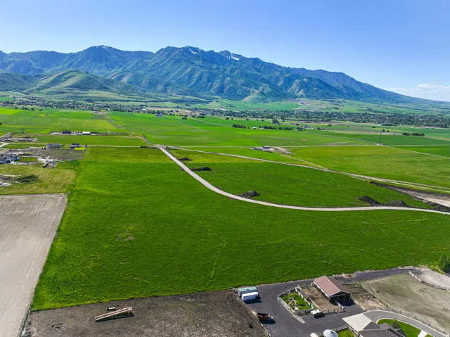 Expansive green acreage with distant mountain scenery