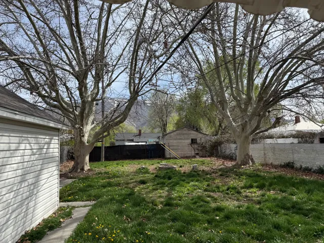 Expansive backyard featuring two mature trees, a detached storage structure, and a chain link fence