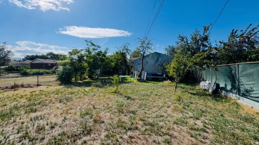 Expansive rear yard featuring mature trees, partial chain-link fencing, and a detached structure