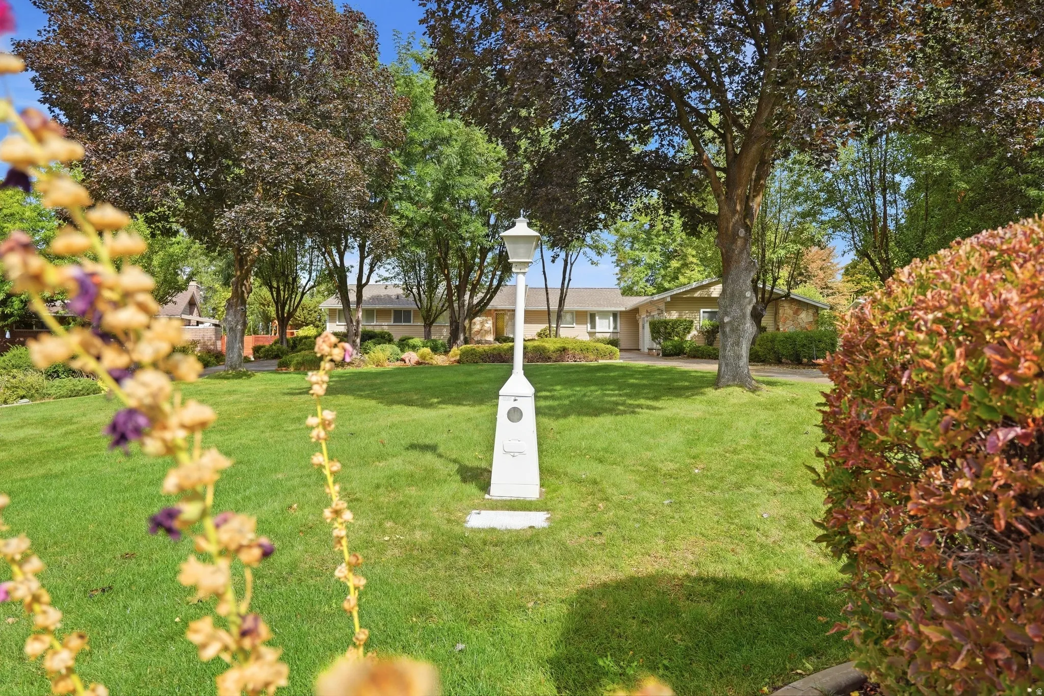 Expansive front yard featuring a manicured lawn, mature trees, and a decorative lamppost