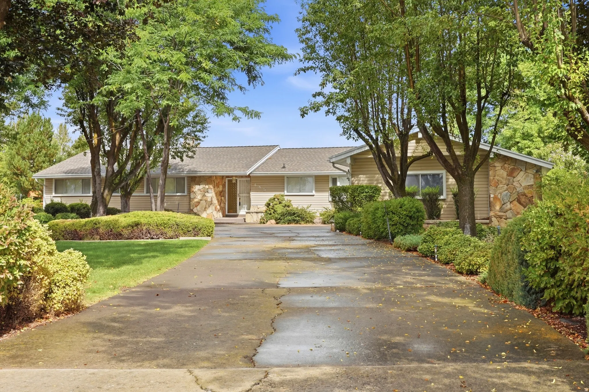 Single-story residence featuring natural stone accents, light-toned siding, a gabled roof, and a mature tree-lined driveway