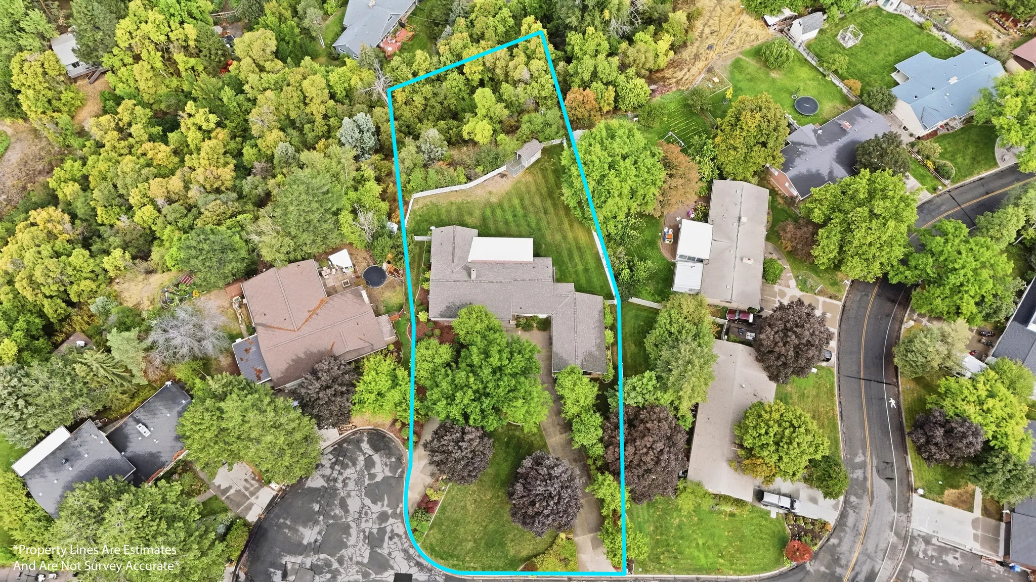 Expansive property with mature trees, manicured lawns, and a private driveway