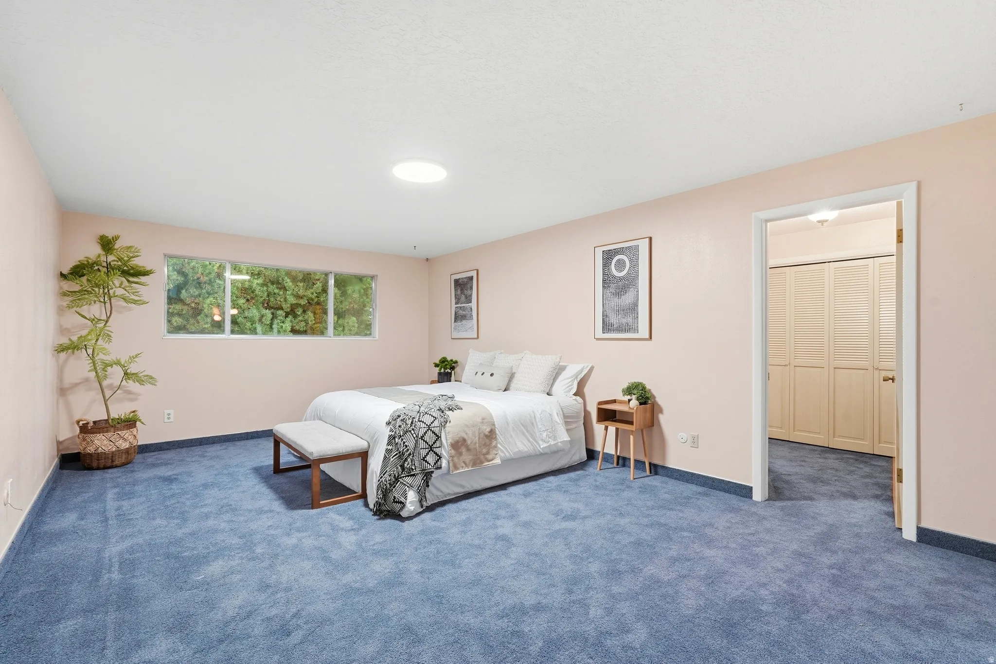 Light pink walls, blue carpeting, and a window with exterior tree scenery