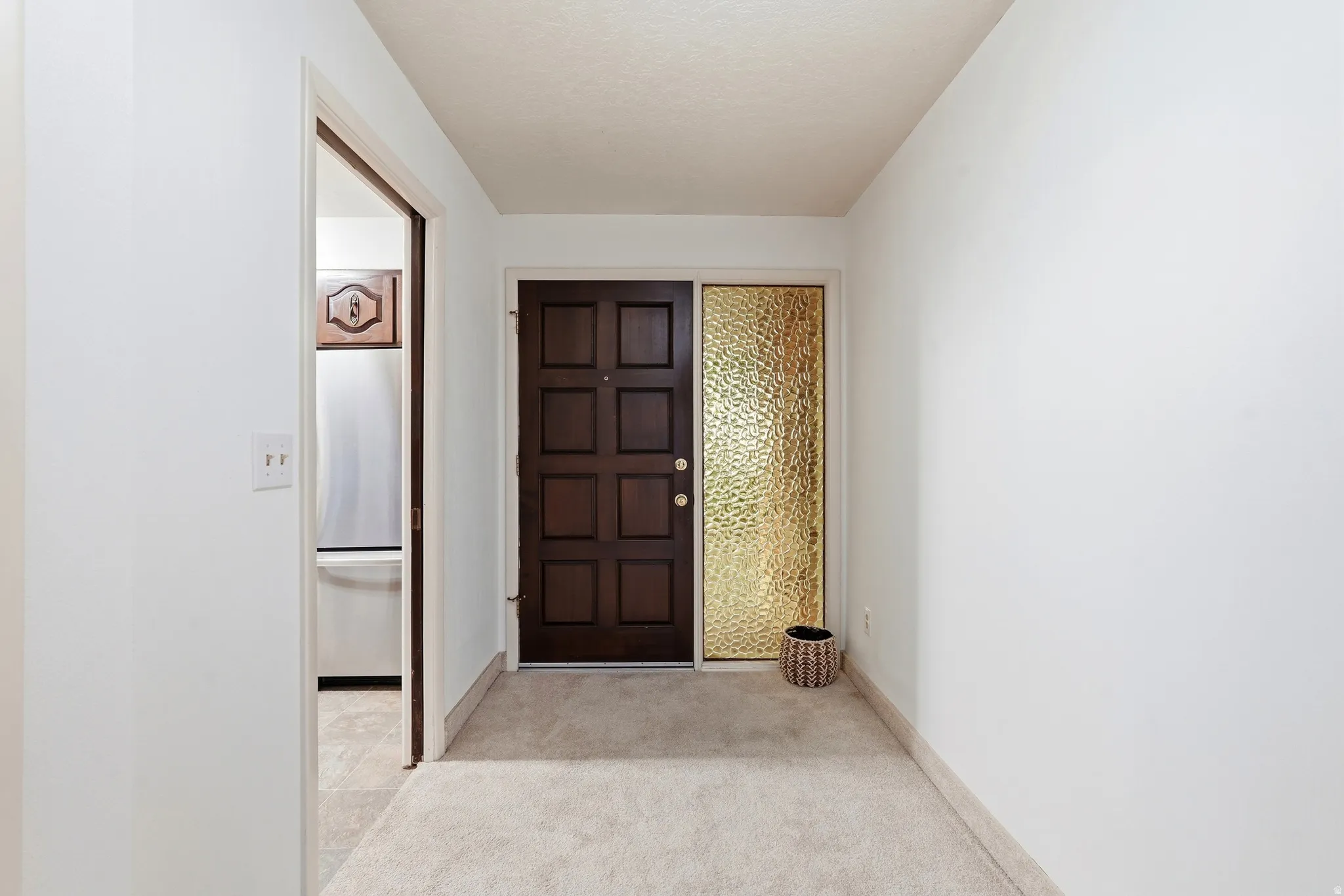 Dark wood paneled entry door with an opaque textured glass sidelight