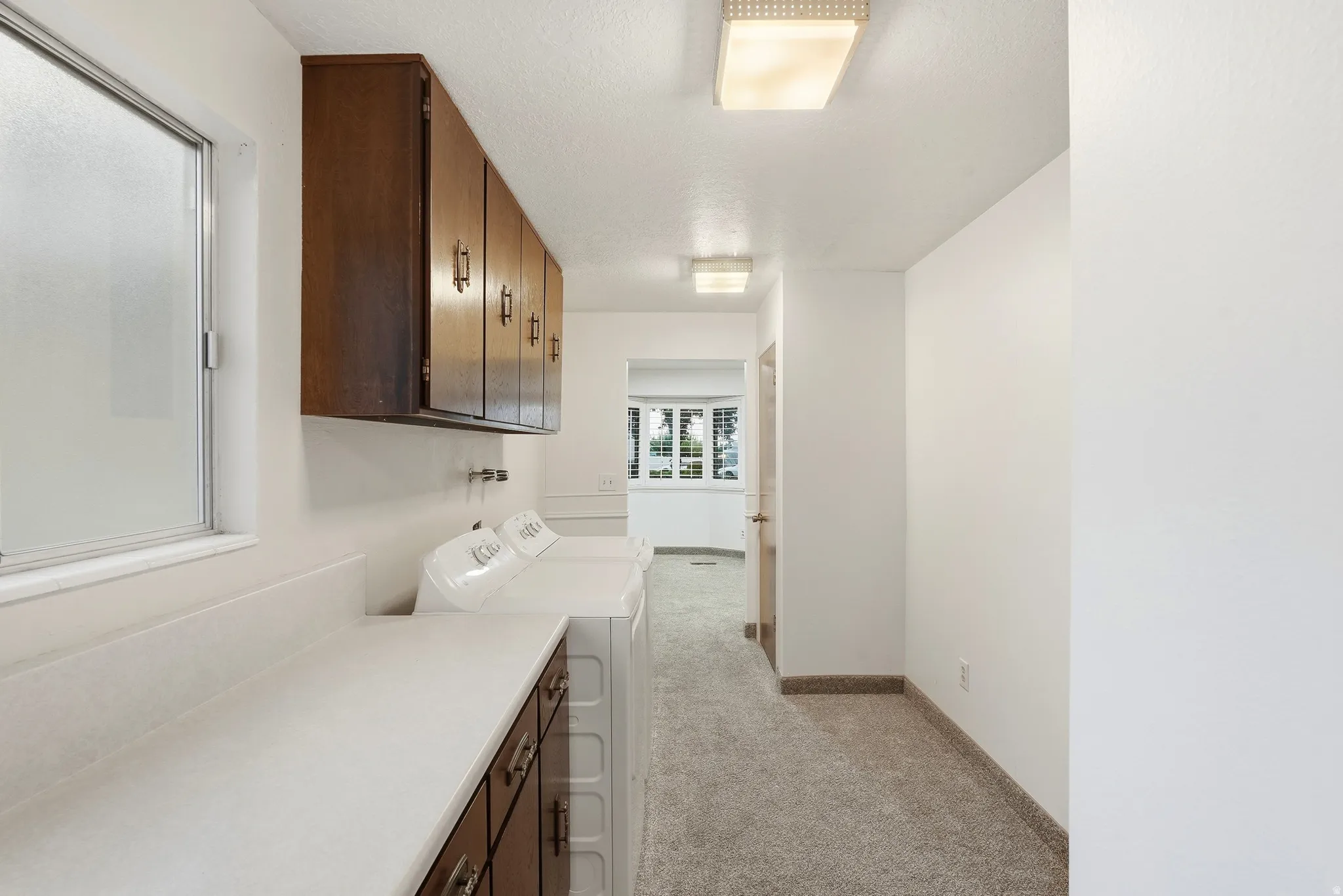 Extensive countertop space with integrated sink, abundant wood-finish cabinetry, and textured carpeting